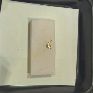 Ciondolo dodo delfino 18k