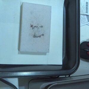 Orecchini ob pendenti bimbi