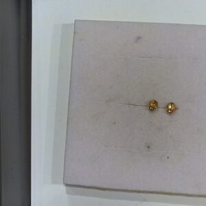 Orecchini coccinella satinati og