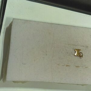 Ciondolo dodo farfalla